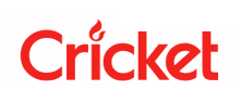 Cricket����