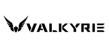 �ߠ�����VALKYRIE