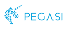 PEGASI����˯