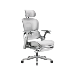 ���w���W��